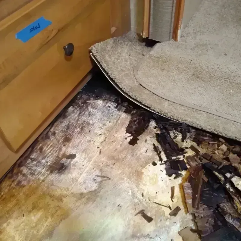 Wood Floor Water Damage in Spearfish, SD